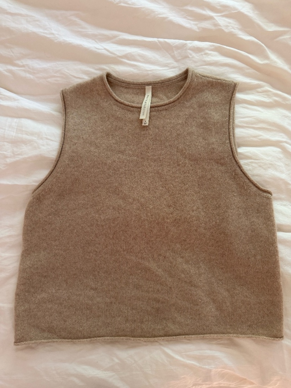 Aritzia 100% Cashmere Sweater Top (Size M)